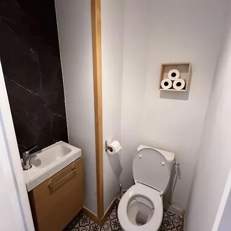 Апартаменты Grand Ceo Bauer, En Plein Centre De Pour 2 Pers